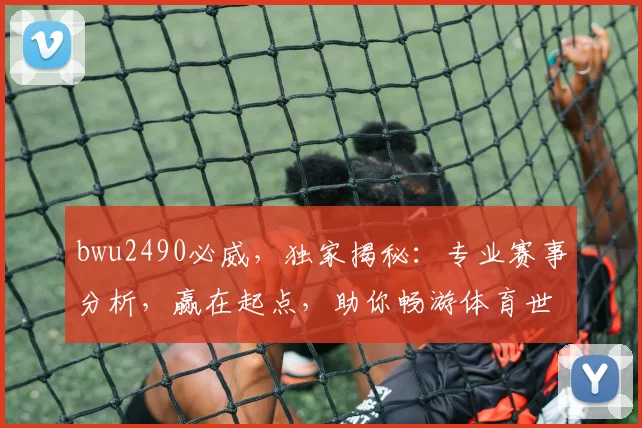 bwu2490必威，独家揭秘：专业赛事分析，赢在起点，助你畅游体育世界