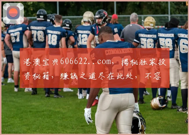 港澳宝典606622..com，揭秘独家投资秘籍，赚钱之道尽在此处，不容错过