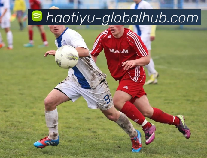 AI Risk Control